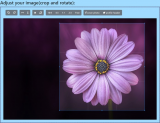 Easiest way to resize your images online